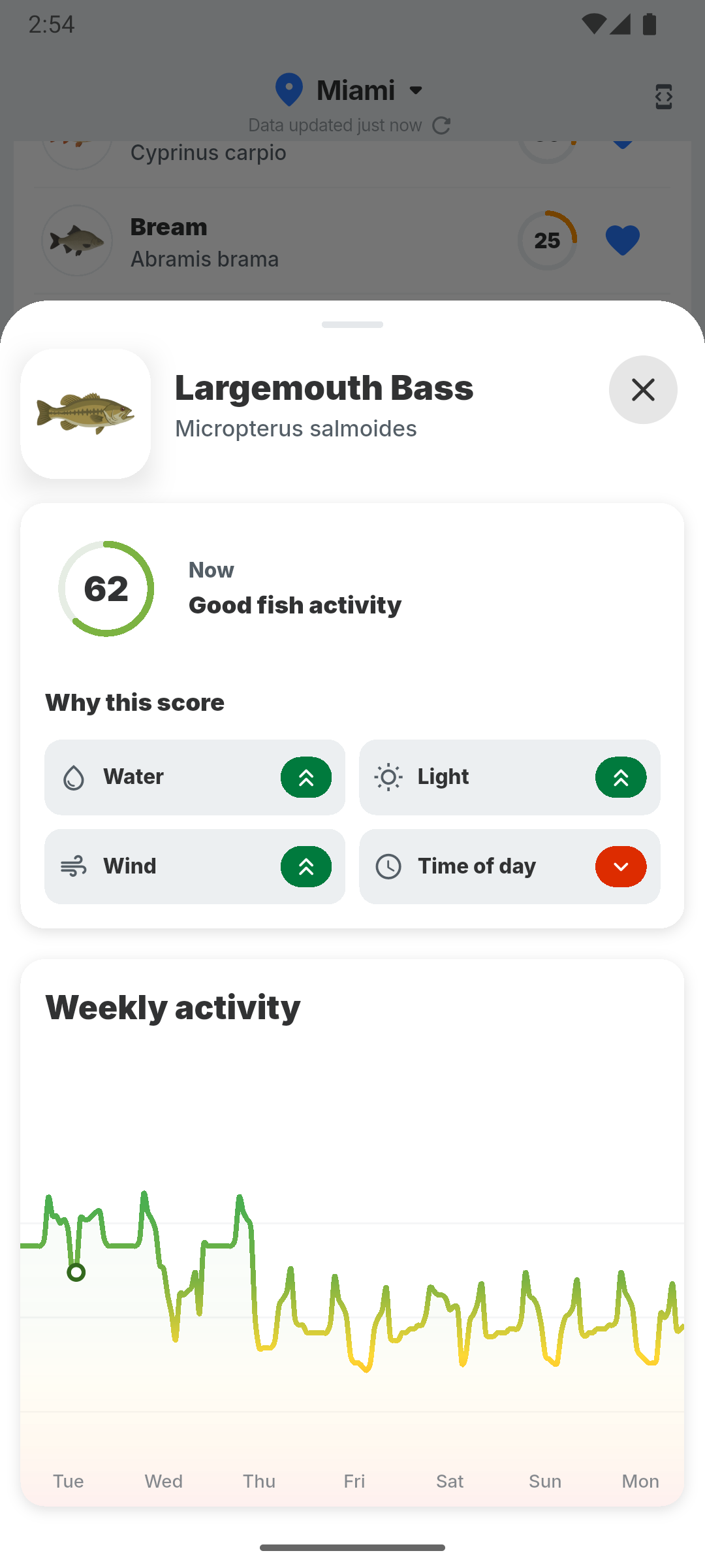 Aktivitätsdetails und Wochenausblick für eine Fischart