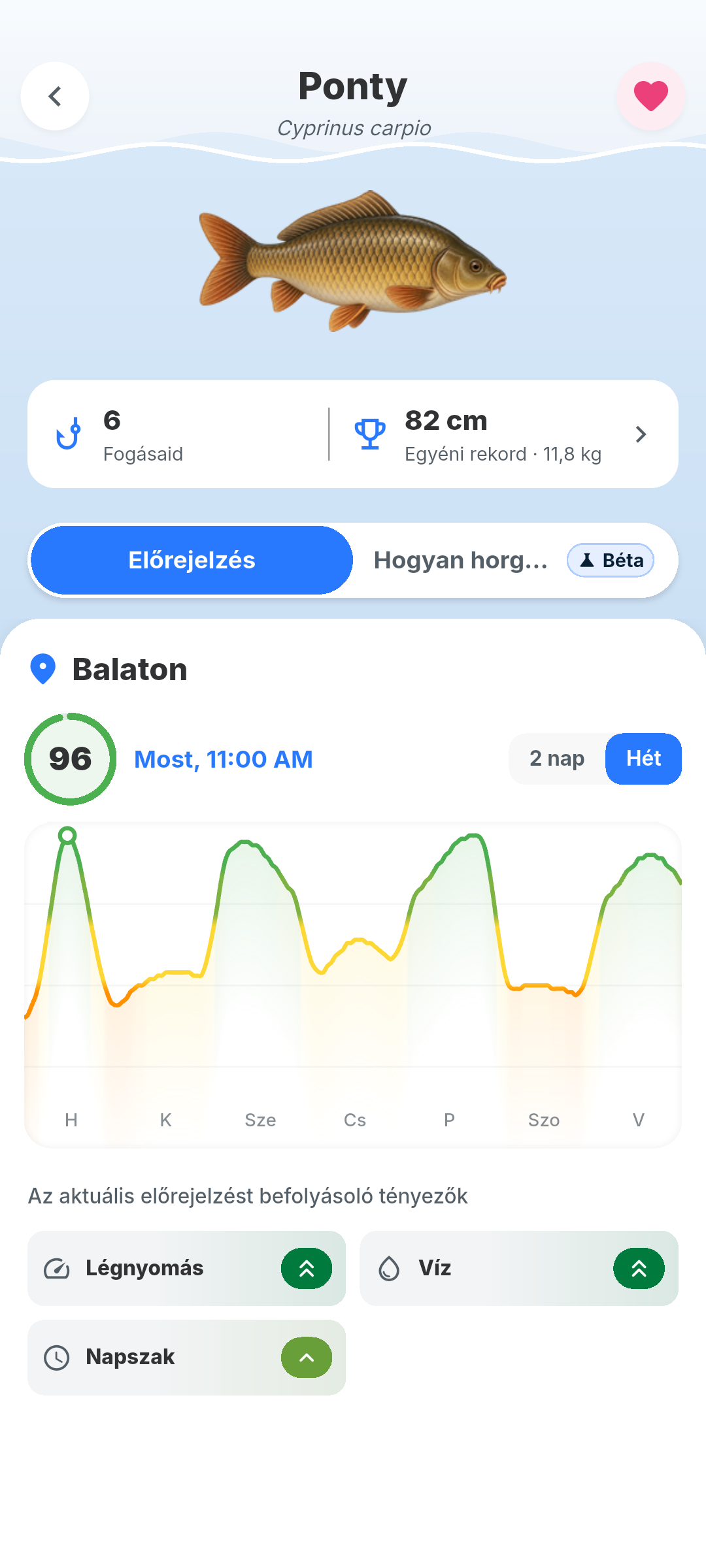 A ponty részletei a BiteRadarban: 96-os aktivitás és az azt befolyásoló tényezők