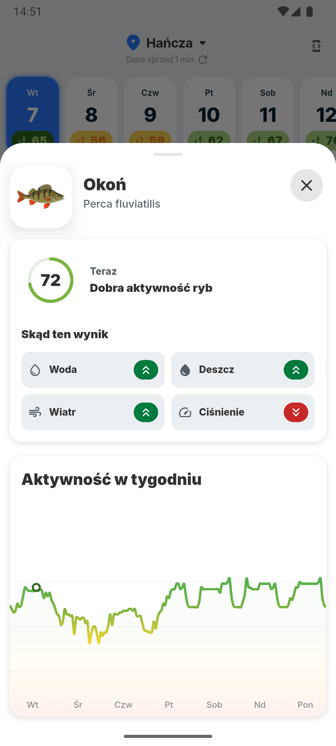 Szczegółowa aktywność okonia i prognoza tygodniowa