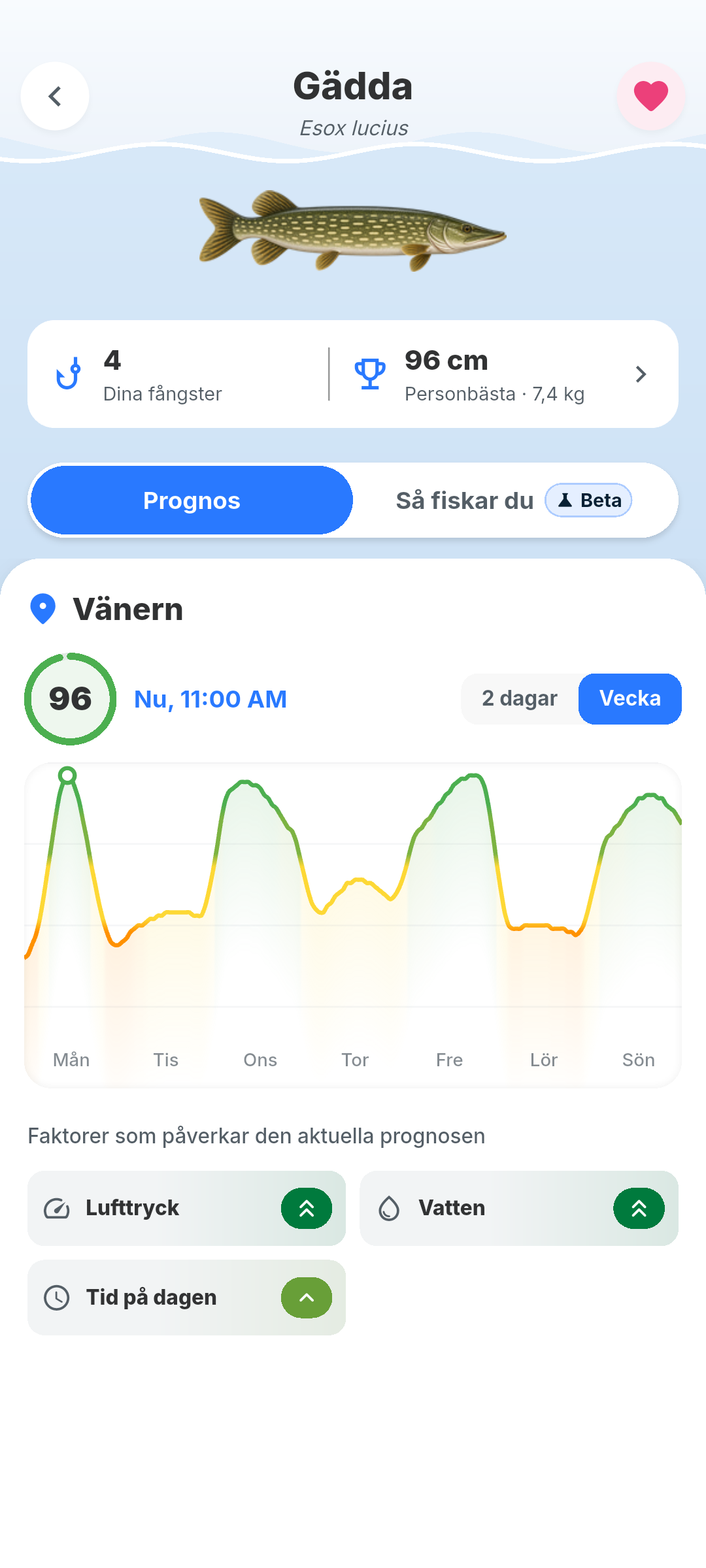 Artdetaljer för gädda i BiteRadar: aktivitet 96 och faktorerna bakom den